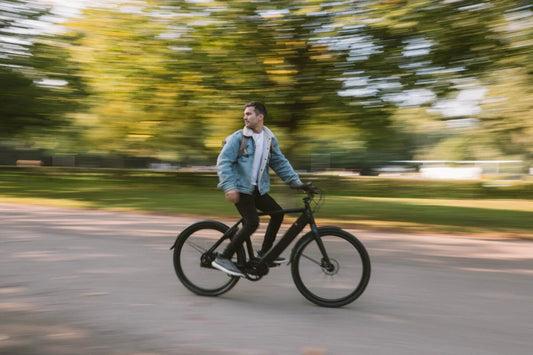 Lekker Bikes Amsterdam ebike